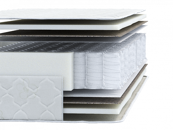 Bliss-Light-разрез