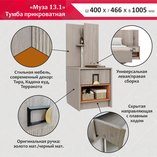 KT_Muza_13_1 KT_Muza_13_1
